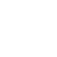 Logo NET